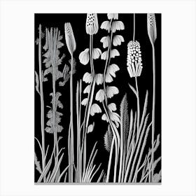 Horsetail Wildflower Linocut 2 Canvas Print