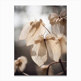 Butterfly Flower Canvas Print