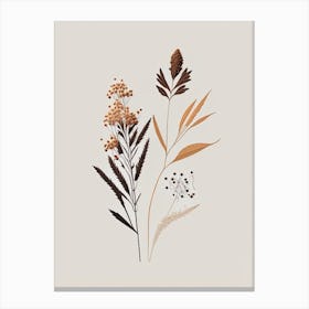 Boneset Spices And Herbs Retro Minimal 2 Canvas Print
