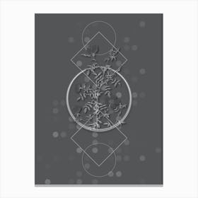 Vintage Hedge Rose Botanical with Line Motif and Dot Pattern in Ghost Gray Canvas Print