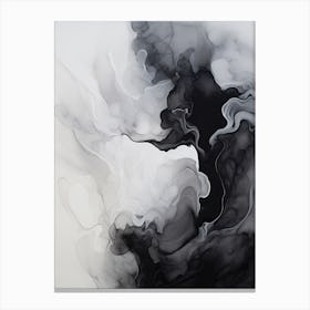 Black And White Flow Asbtract Painting 1 Canvas Print