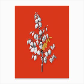 Vintage Adams Needle Black and White Gold Leaf Floral Art on Tomato Red n.0411 Canvas Print