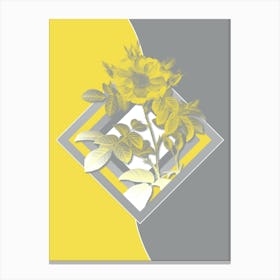 Vintage Red Portland Rose Botanical Geometric Art in Yellow and Gray n.141 Canvas Print
