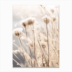 Dried Plants 2 Canvas Print