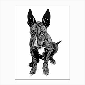 Miniature Bull Terrier Line Sketch 1 Canvas Print