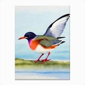 Common Tern Watercolour Bird Canvas Print