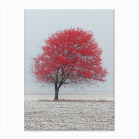 Red Tree In The Snow Canvas Print