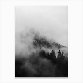 Black Foggy Forests Canvas Print