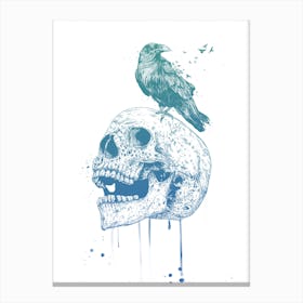New skull Canvas Print