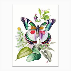 Butterfly On Plant Decoupage 2 Canvas Print