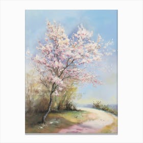 Cherry Blossoms Canvas Print