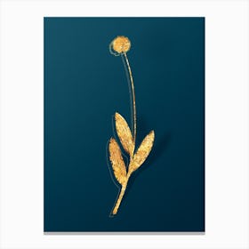 Vintage Victory Onion Botanical in Gold on Teal Blue n.0045 Canvas Print