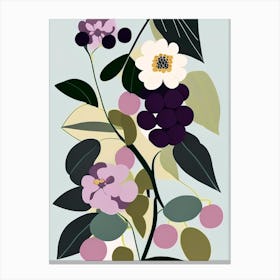 Blackberry Blossom Wildflower Modern Muted Colours 1 Canvas Print