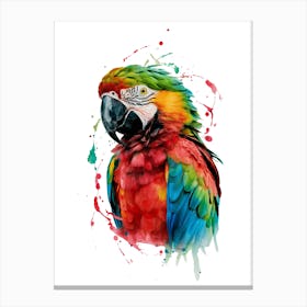 Colorful Parrot Canvas Print