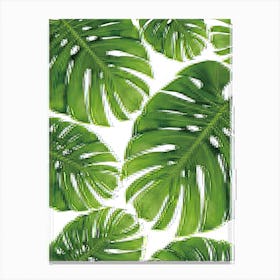 Monstera Leaves 6 Canvas Print