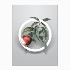 Vintage Peach Minimalist Flower Geometric Circle on Soft Gray n.0149 Canvas Print