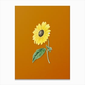 Vintage California Sunflower Botanical on Sunset Orange n.0138 Canvas Print