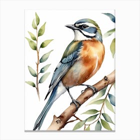 Beautiful Bird On Branch Watercolor Painting (30) Canvas Print