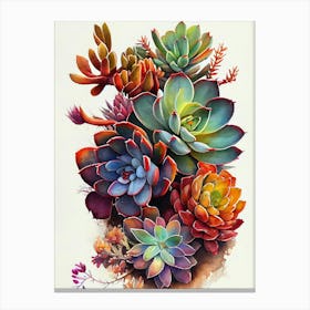 Succulents 4 nature flora Canvas Print
