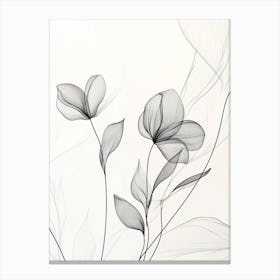 Black And White Flowers Canvas Print