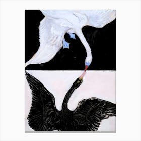 Hilma Af Klint Swans Canvas Print