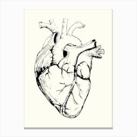 Human Heart Monoline Hand Drawing Aesthetic Illustration Canvas Print