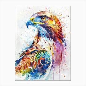 Hawk Colourful Watercolour 1 Canvas Print