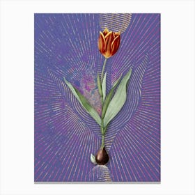 Vintage Tulip Botanical Illustration on Veri Peri n.0475 Canvas Print