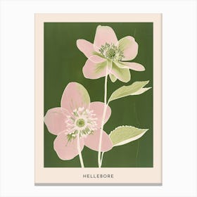 Pink & Green Hellebore 3 Flower Poster Canvas Print