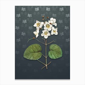 Vintage Catalpa Cordifolia Flower Botanical on Slate Gray Pattern n.0196 Canvas Print