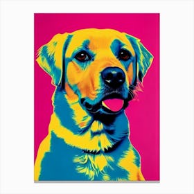 Golden Retriever Andy Warhol Style dog Canvas Print