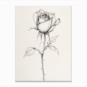 English Rose Black And White Line Drawing 20 Canvas Print