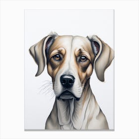 Dog Portrait Canvas Print