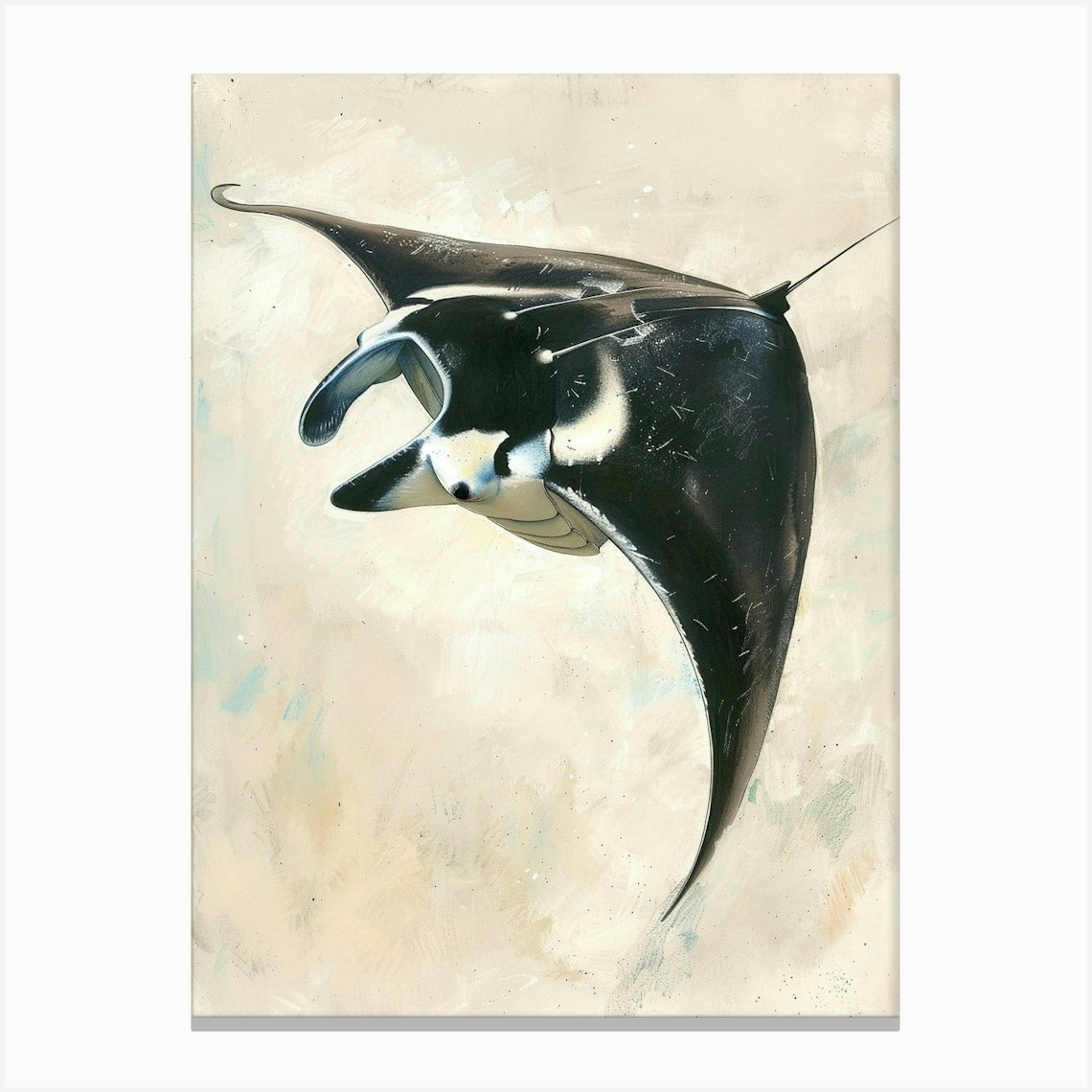 Manta Ray Pastel Watercolour 4 Canvas Print by Critter Crafts
