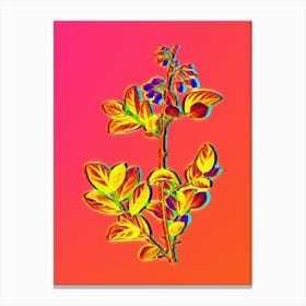 Neon Andromeda Mariana Branch Botanical in Hot Pink and Electric Blue n.0485 Canvas Print