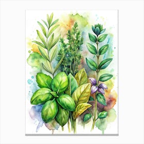 Watercolor Of Herbs Toile