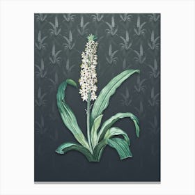 Vintage Eucomis Punctata Botanical on Slate Gray Pattern n.2203 Canvas Print