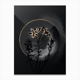 Shadowy Vintage Lily of the Incas Botanical in Black and Gold n.0096 Canvas Print