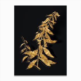 Vintage Goji Berry Tree Botanical in Gold on Black n.0344 Canvas Print