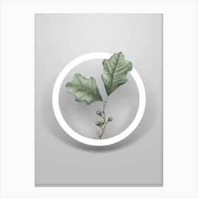 Vintage Bear Oak Leaves Minimalist Flower Geometric Circle on Soft Gray n.0098 Canvas Print
