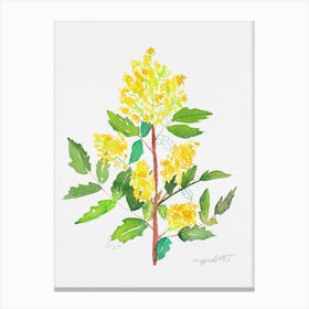 Mahonia2 Canvas Print