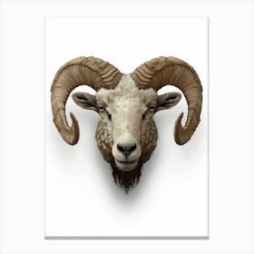 Ram Head 1 Canvas Print