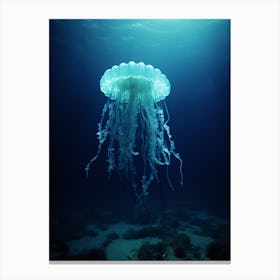 Irukandji Jellyfish Ocean Realistic 3 Canvas Print