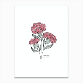 January Carnation Birth Flower 1 Canvas Print