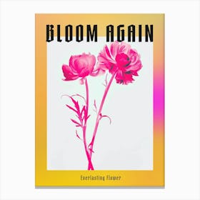 Hot Pink Everlasting Flower 1 Poster Canvas Print