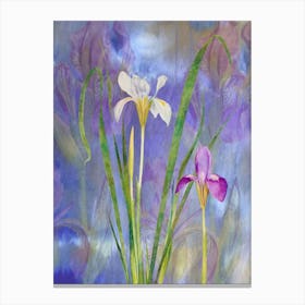 Irises Canvas Print