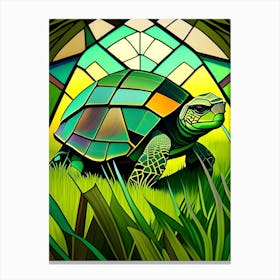 TexturedTurtle4 Canvas Print