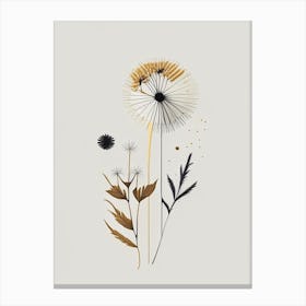 Dandelion Spices And Herbs Retro Minimal 3 Canvas Print