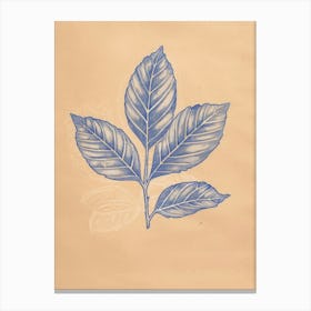 Blue Leaf 4 Canvas Print