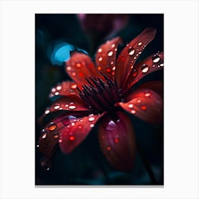 Raindrops On A Flower 6 Canvas Print